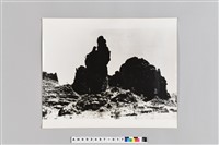 藏品(柳州美人照鏡石（廣西）)的圖片